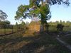S Semoran Blvd, Orlando, FL 32807 photo